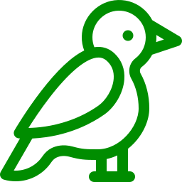 pajarito