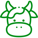 vaca