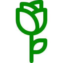 flor