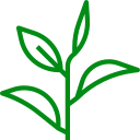 planta