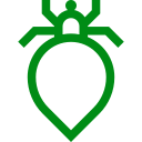 piojo